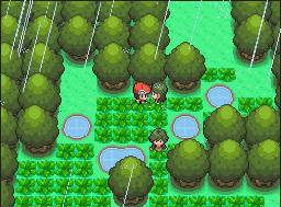 Moemon Platinum NDS)