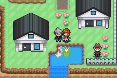 Pokemon Blackened Night