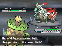 Pokemon Blaze Black 2 NDS Rom