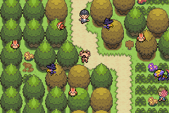 Pokemon Crush GBA ROM