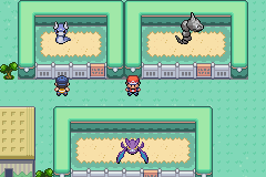 Pokemon FireRed Reimagined GBA ROM