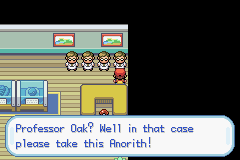 Pokemon Furious Flames