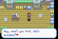 Pokemon Gary’s Mod