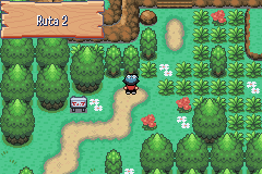 Pokemon Islas del Viento GBA