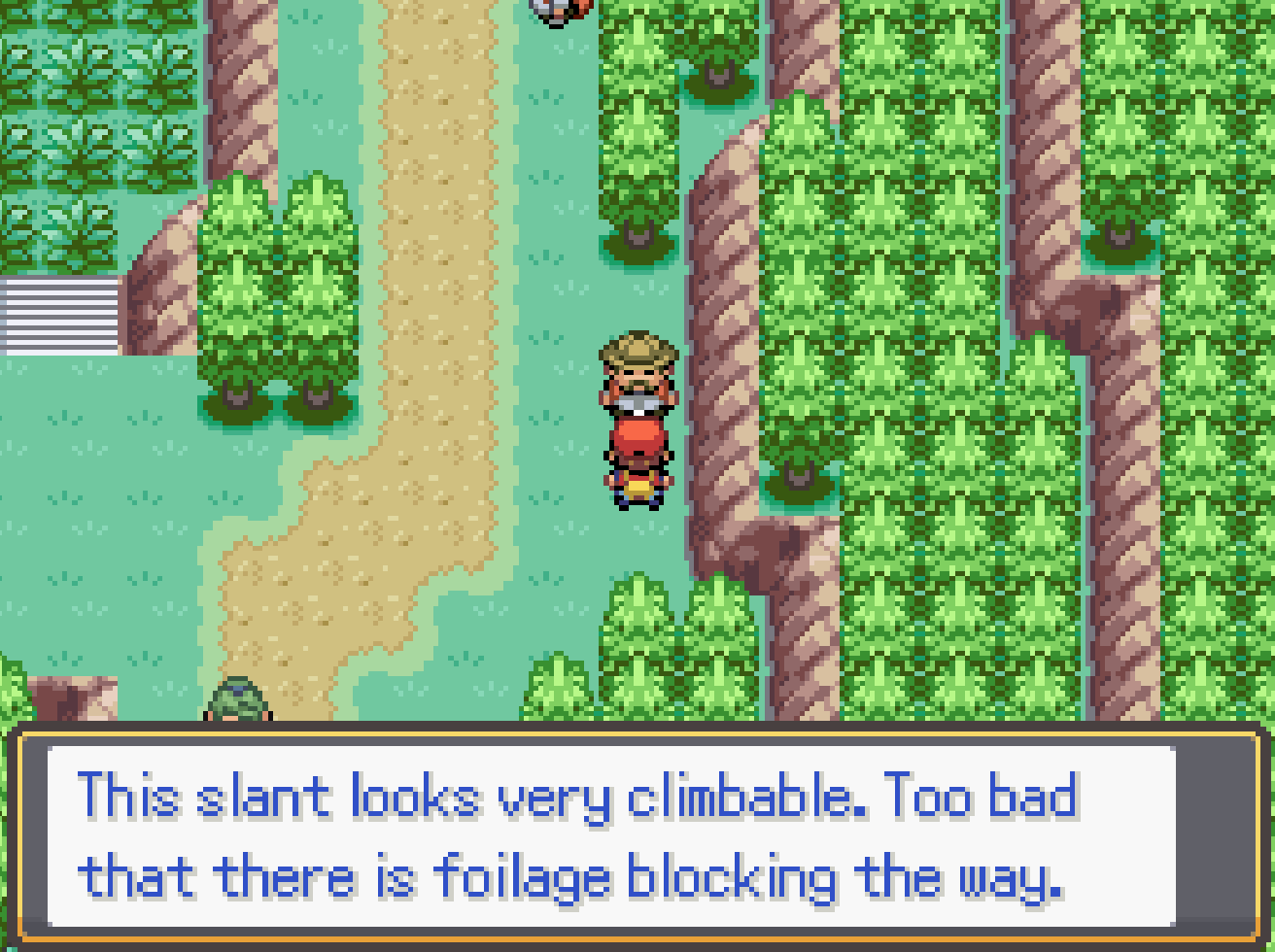 Pokemon Minor Circuit in-game screenshot 1