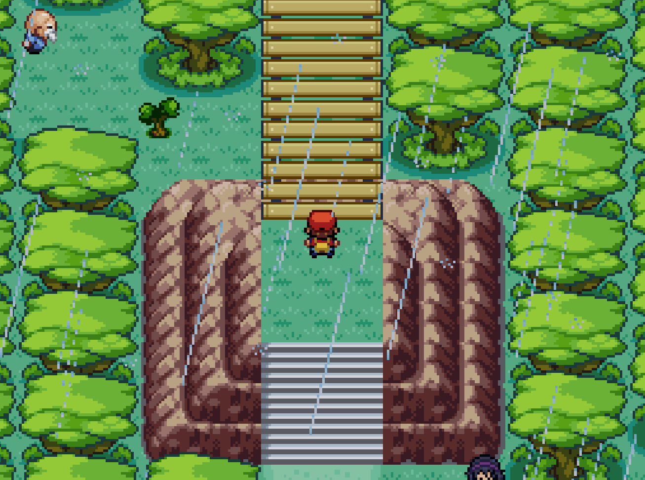 Pokemon Minor Circuit in-game screenshot 2