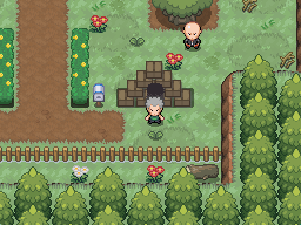 Pokemon Reclamation in-game screenshot 1