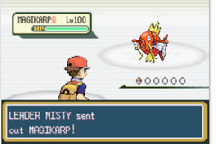 Pokemon Revenge of the Karp Rom