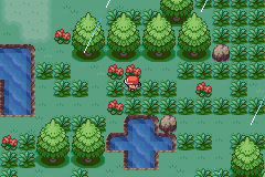 Pokemon Zero Negative GBA Rom